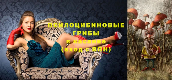 тгк Горно-Алтайск