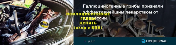тгк Горно-Алтайск