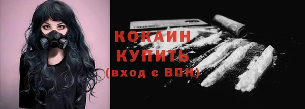 тгк Горно-Алтайск