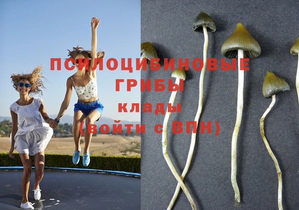 мескалин Горнозаводск