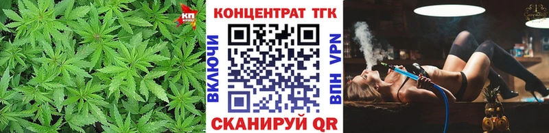 Дистиллят ТГК Wax  Купить где  Олонец 
